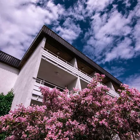 Kringsja 3* Balestrand